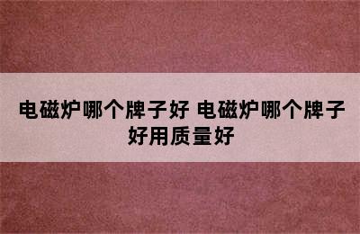 电磁炉哪个牌子好 电磁炉哪个牌子好用质量好